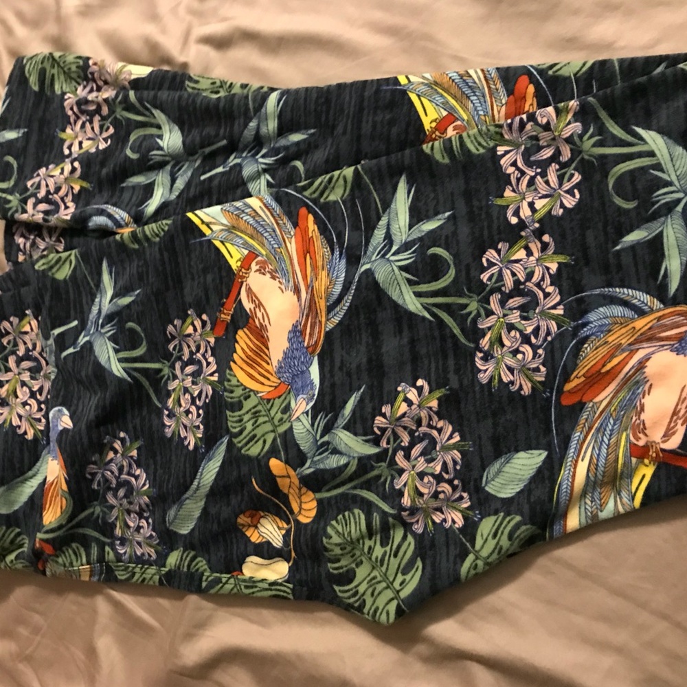 Birds of Paradise